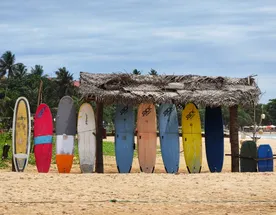 Шри-Ланка: Полное Погружение