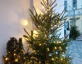 В Беларусь к мистеру Дарси: Новый год в Святском дворце