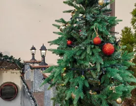 В Беларусь к мистеру Дарси: Новый год в Святском дворце