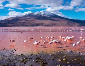 Южная Америка, 4 Страны: Аргентина, Боливия, Бразилия И Чили