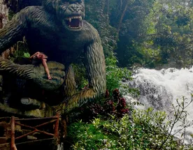 Вьетнам. Новый год