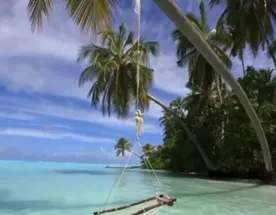 Мальдивы за 109 тысяч. Неделя фото и видео вашей мечты. Все включено.