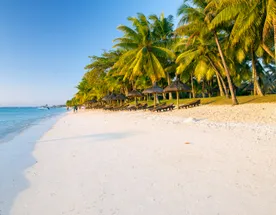 Feel the Vibes of Kenya: African Rhythm, Ocean, and Safari