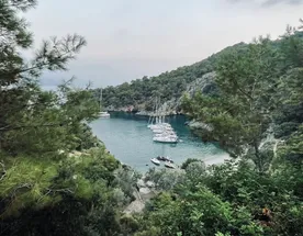 Побег в море от оливье и телевизора