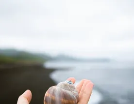 Зимний Сахалин: горнолыжка, снегоходы и голубые бухты