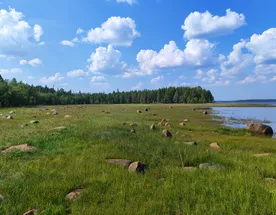 Сплав по реке Калга с выходом в Белое море