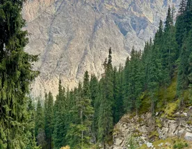 Кыргызстан за 4 дня - программа максимум!