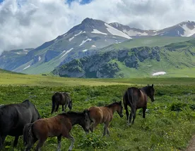 Поход 30-ка: через горы к морю