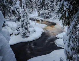 Зимние фантазии Карельской души