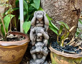 Чиангмай Sensitive. Girls only