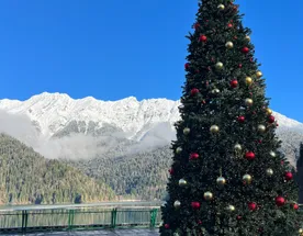 Новогодняя Абхазия. Релакс и экскурсии, тур на 4 дня