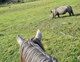 Конный Тур в Юар по Дороге Садов  Индивидуальный Тур
