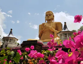 Шри-Ланка: океан, сафари и пик Адама