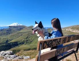Поездка на плато Бермамыт в компании собаки Панды
