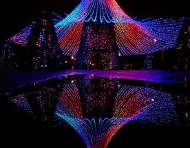 Новогодние огни Краснодара. Парк Галицкого и улица Красная