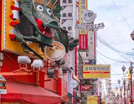 Авторский тур в Японию на цветение сливы (умэ)