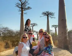 Баобаб - Цинги - Киты на Сент Марии