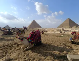 Тайны Древнего Египта: Хургада, Луксор, Каир, Александрия, Шарм-эль-Шейх