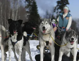 Заснеженное Плато Лаго-Наки+катание в упряжке с Хаски+термальные источники