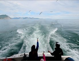 Летний тур на Камчатку 7 дней