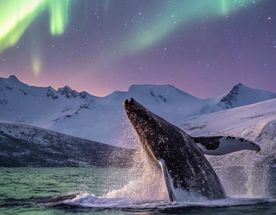 Кольский без границ - все включено!