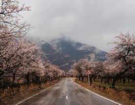 Тур-вечеринка 8 марта в Дагестане