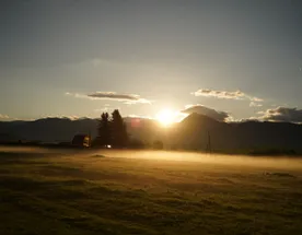 Женский ретрит-тур Энергия Уймонской долины