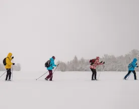 Лыжные тренировки в Санкт-Петербурге. Базовый уровень