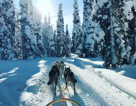 Сияние Заонежья. Рождественская Карелия