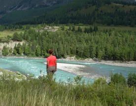 Тропы и дороги Алтая