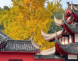 Самобытный Китай. Панды в Чэнду, Небоскребы в Чунцине и Горы Аватара