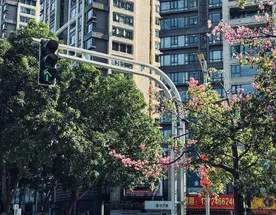 Авторский фототур По следам Брюса Ли