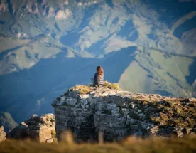 В объятиях Кавказских гор