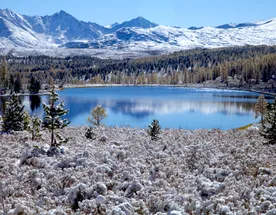 Очарование зимнего Алтая