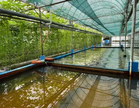 Осетровая ферма + Дом Пастора и сыроварня Шаакен Дорф