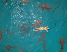 Мальдивы морской-сафари тур