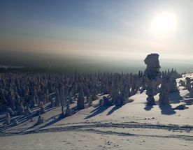 В поисках Пермской чуди