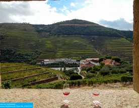 В стиле португальского фаду