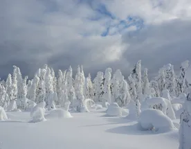 Тайны Пармы. Зимняя симфония Пермского края