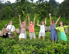 Шри-Ланка. Все грани острова за 14 дней!