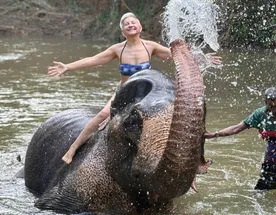 Трехдневная экскурсия Золотое кольцо Шри-Ланки