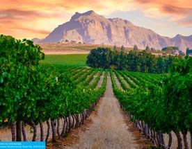 Юар: Кейптаун, 2 океана, винные долины и Африканское сафари