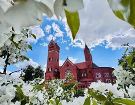 Увидеть всю Беларусь