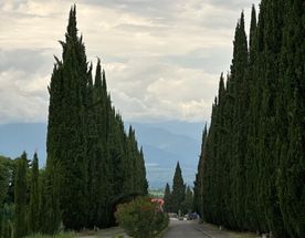 Кахетия по-дворянски — персональное путешествие для вашей компании