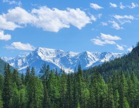 Знакомство с Алтаем. Группа до 6 человек!