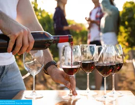 Под солнцем Мозамбика, на ветрах Кейптауна