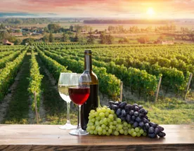 Тур Винное путешествие в Армению и Грузию  8 дней / 7 ночей