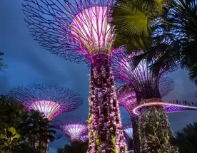 Сингапур и Бали - футуристический город-сад и тропический остров