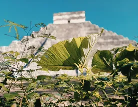 Следы Великих Культур 9 Дней/8 Ночей