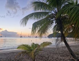 Карибы под парусами - Мартиника!